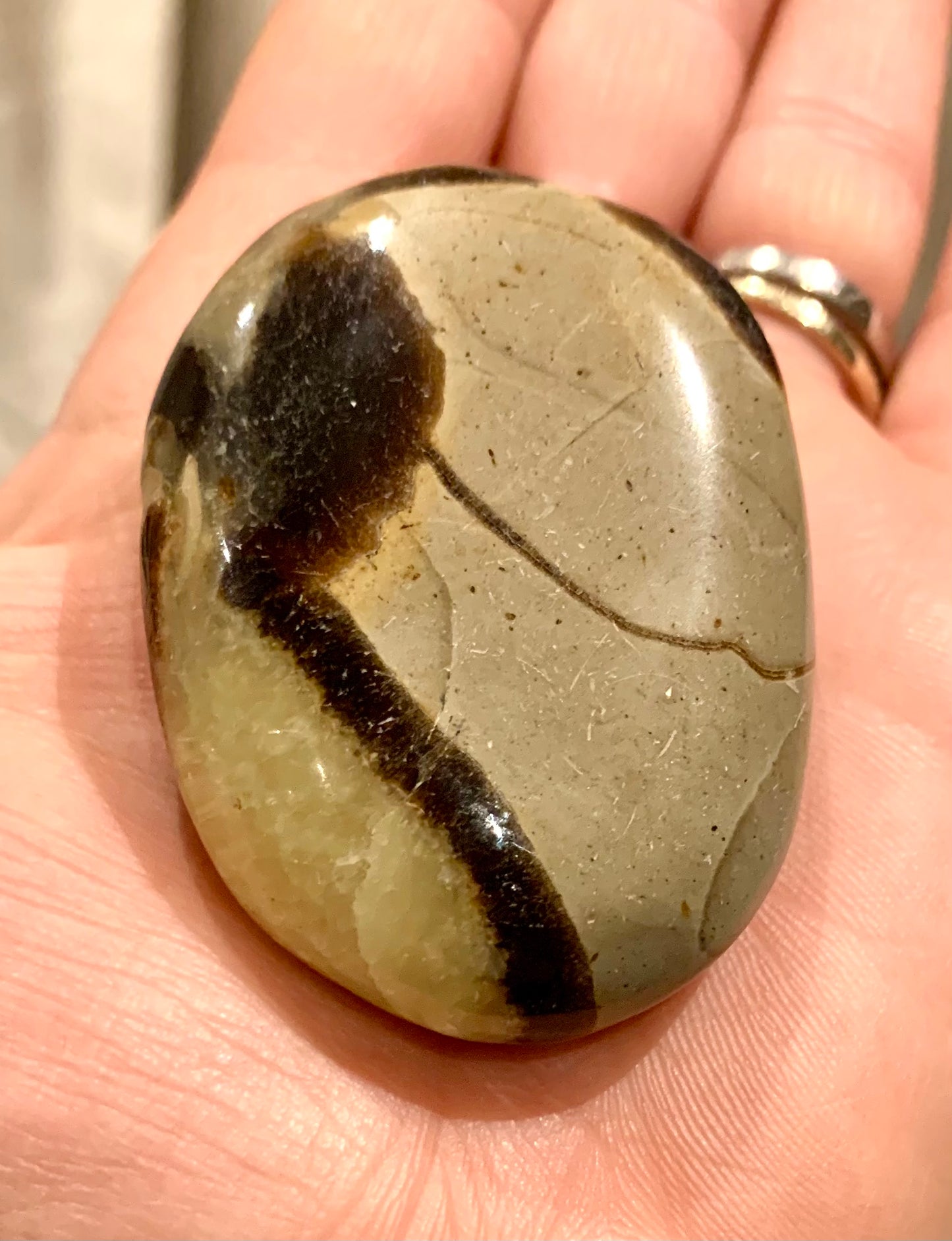 Septarian Dragon Polished Stone - Crystalboutique.co.uk
