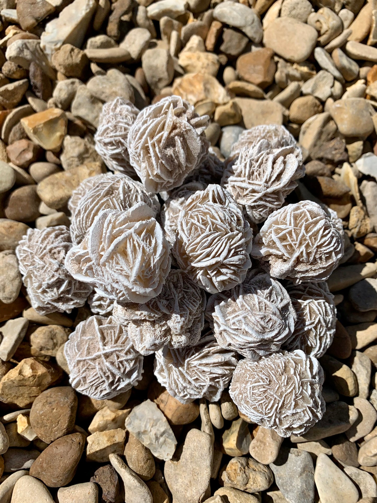 Desert Rose Selenite Cluster