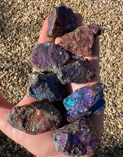 A hand holding several rough, iridescent purple and blue Peacock Ore crystals over a background of small tan pebbles.