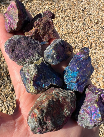 A hand holding several rough, iridescent purple and blue Peacock Ore crystals over a background of small tan pebbles.