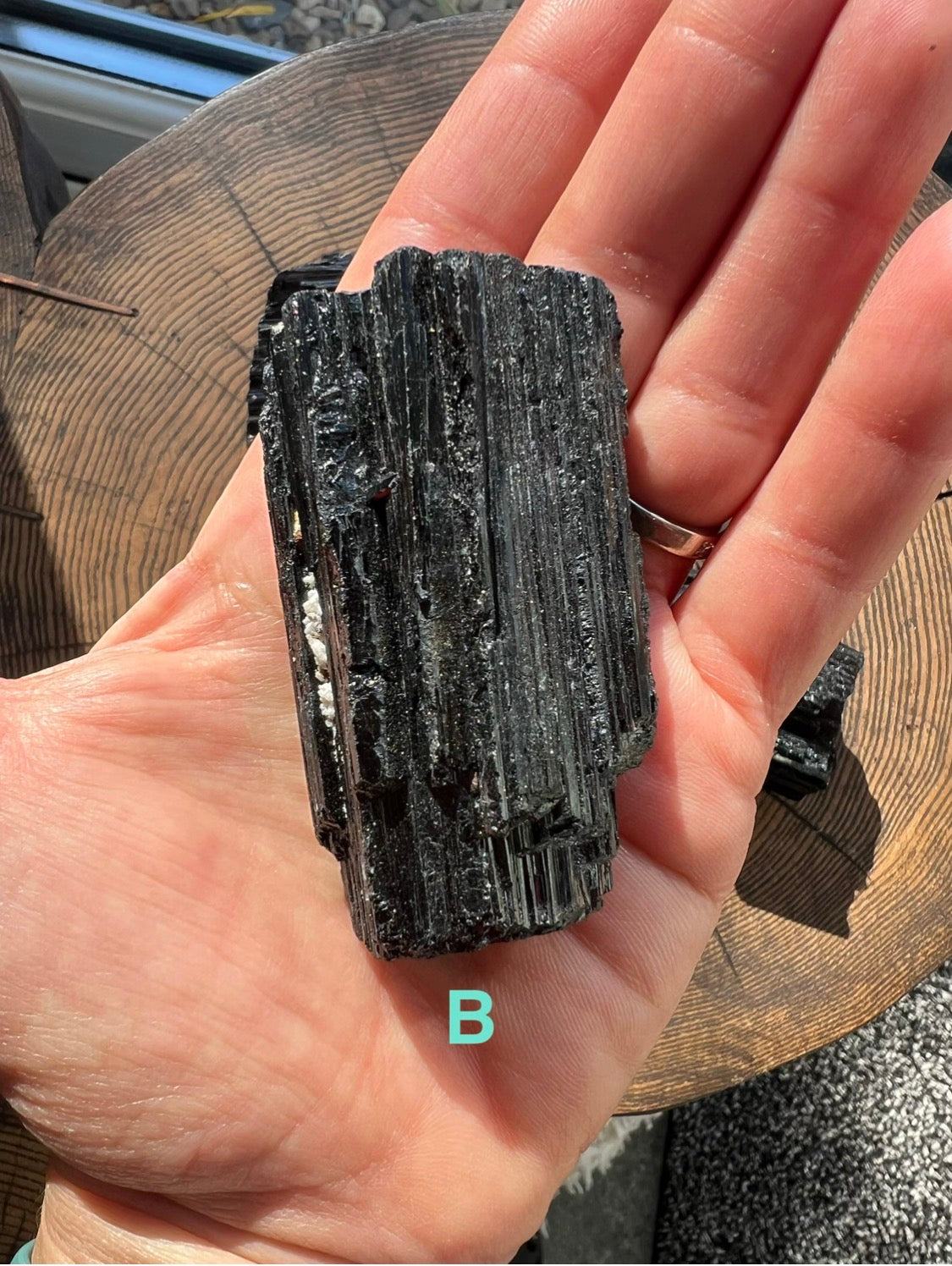 A hand holding a rough, dark black Tourmaline mineral with layered striated texture, photographed over a wooden surface. A turquoise letter 'B' appears near the bottom of the hand.
