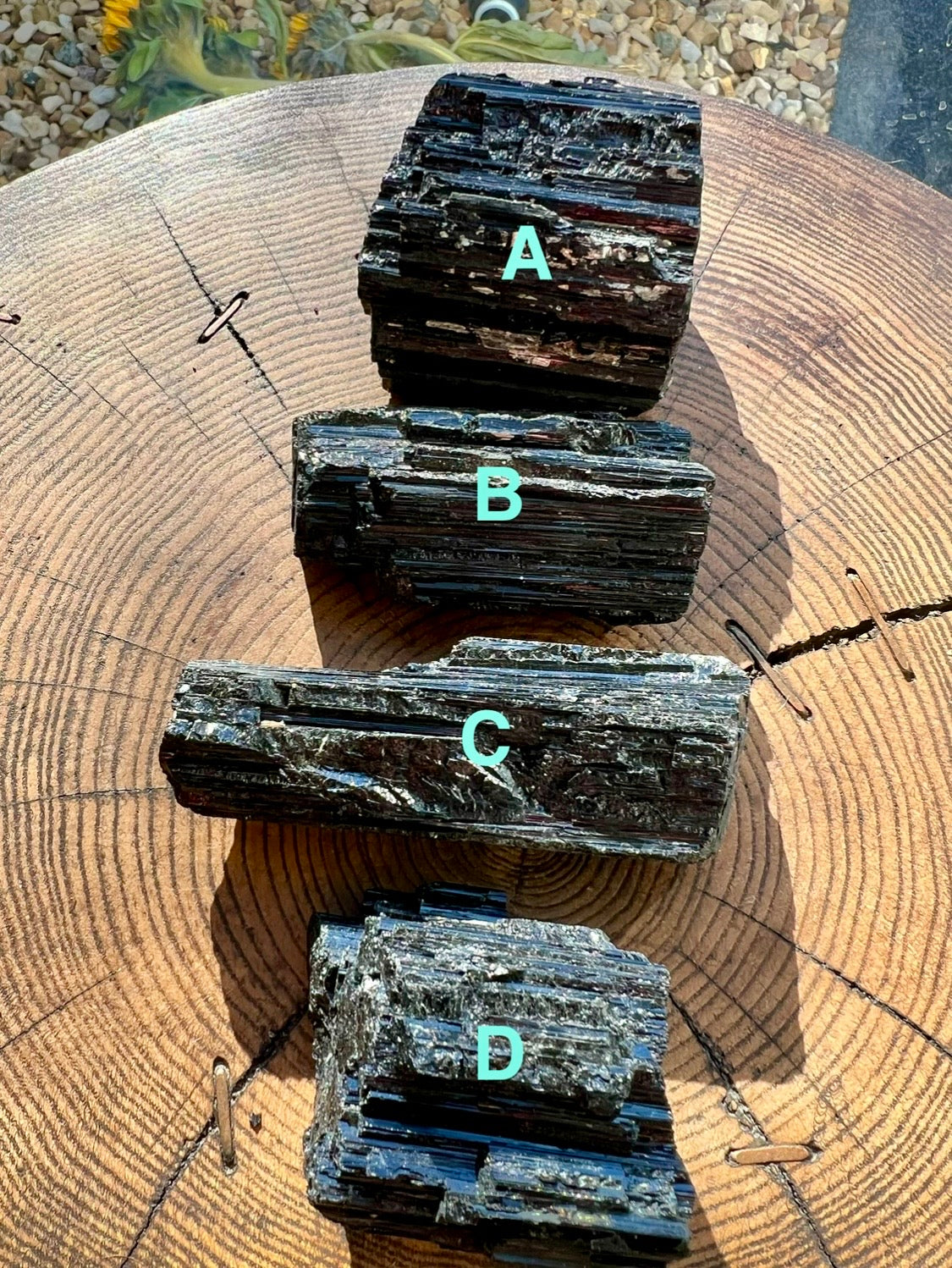 Four dark textured black Tourmaline mineral stone chunks with a layered, crystalline structure, arranged on a rustic wooden log slice.