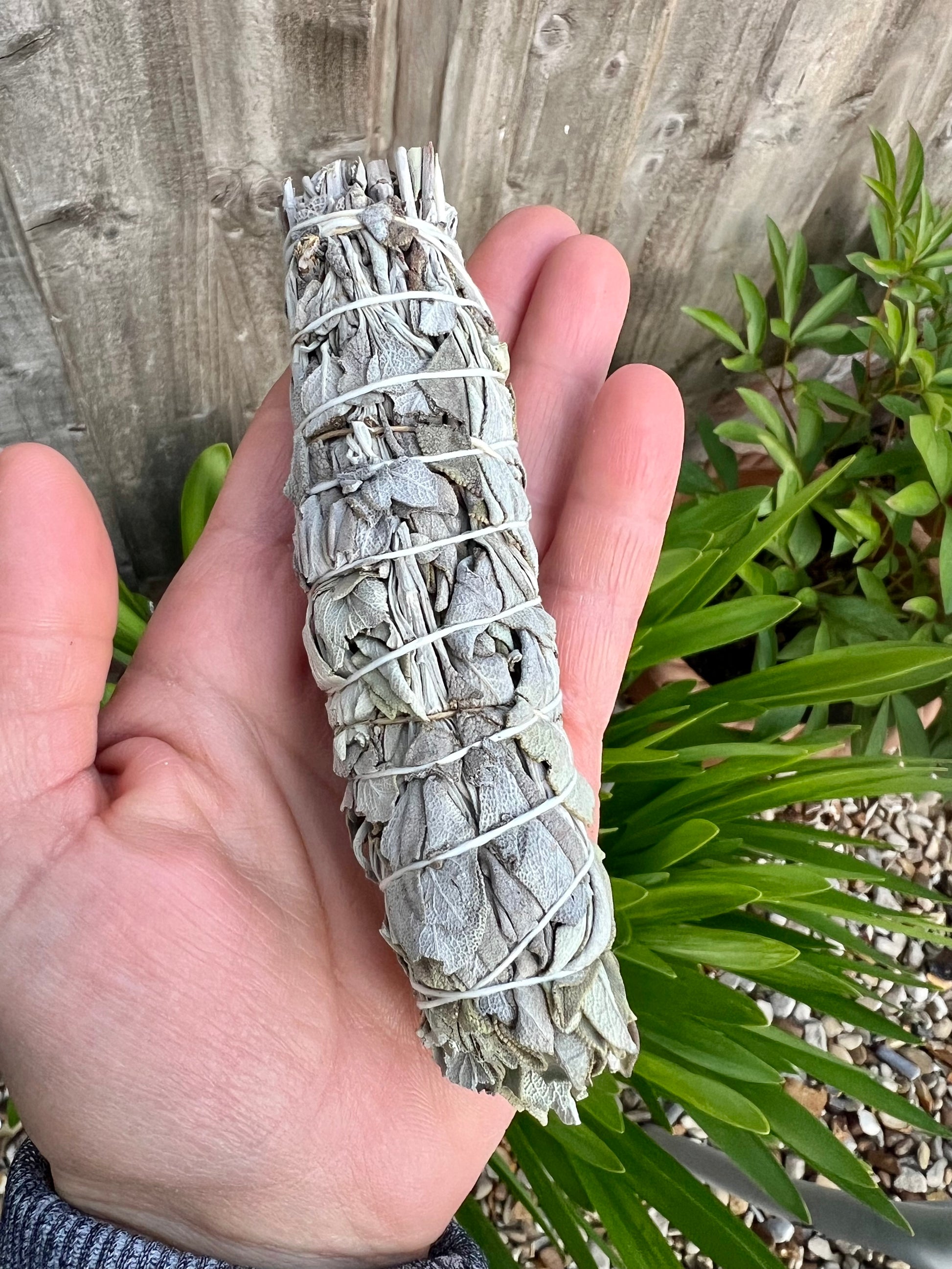 White Sage Smudge Stick 14cm
