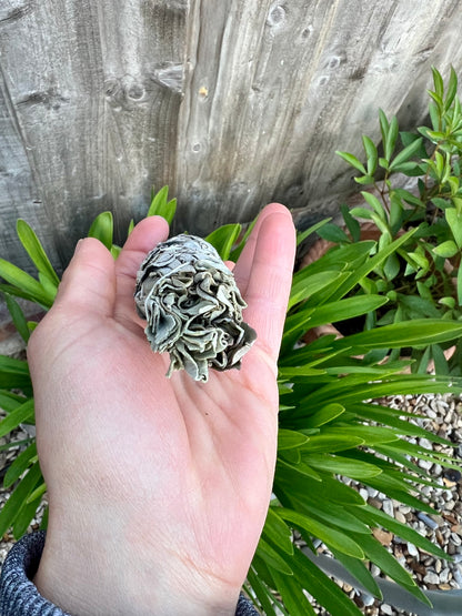 White Sage Smudge Stick 