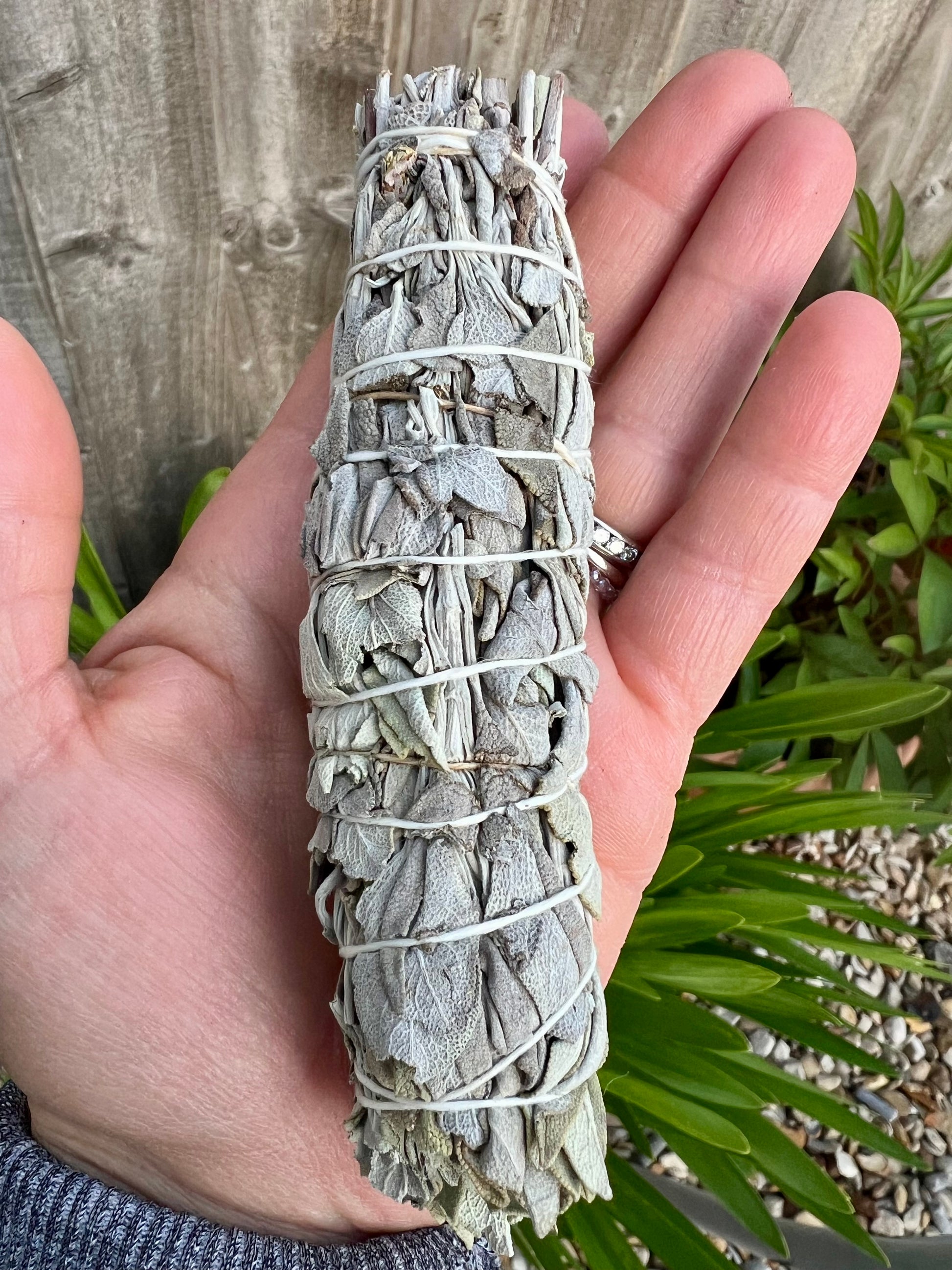 White Sage Smudge Stick 14cm