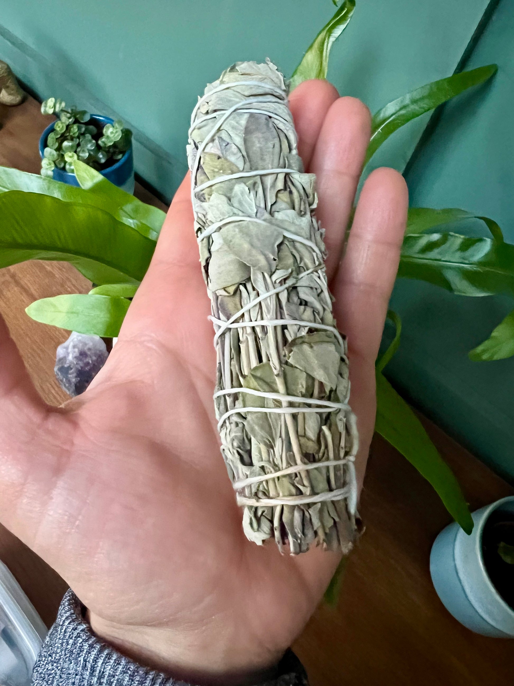 White Sage Smudge Stick 12cm