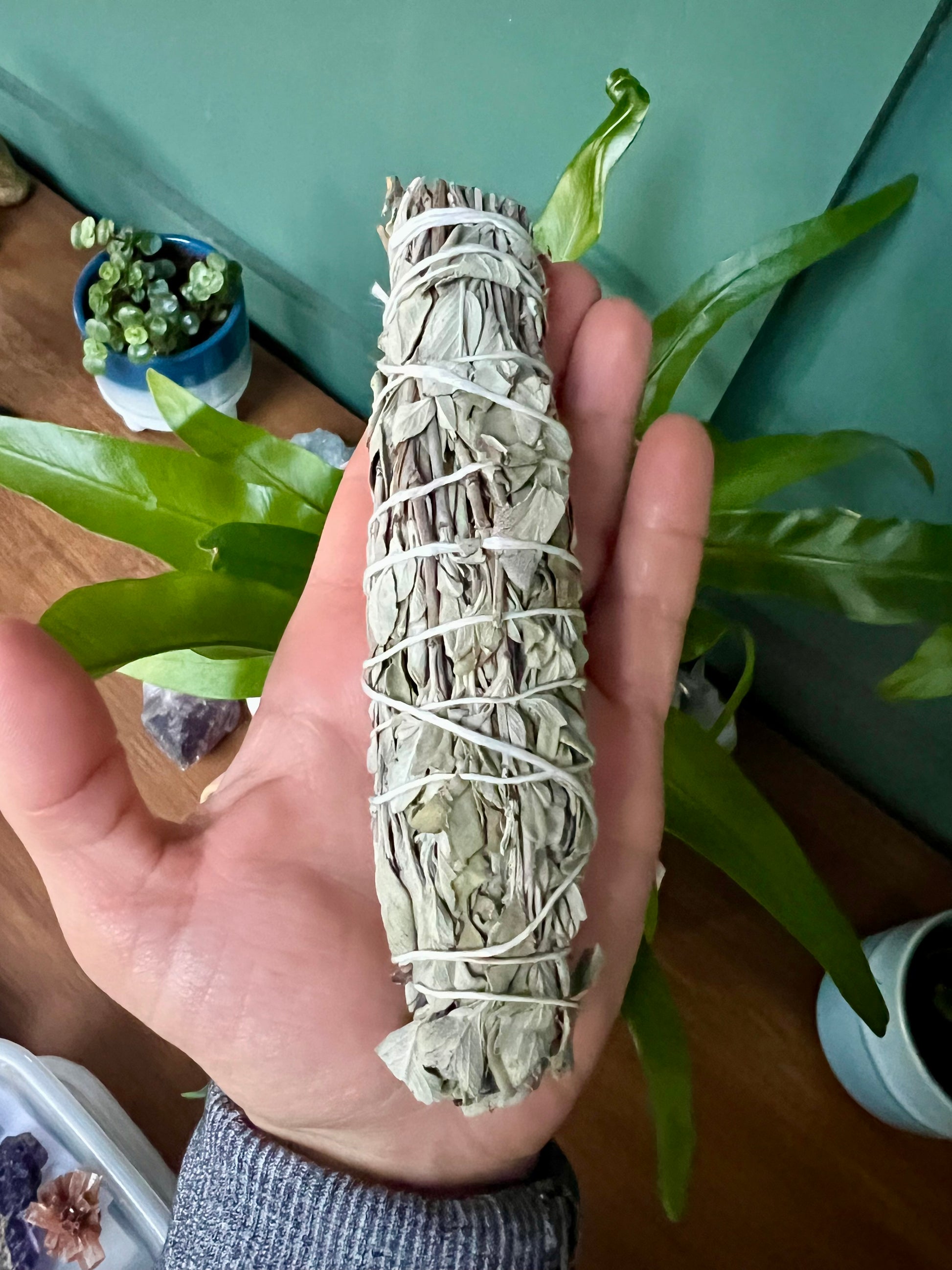 White Sage Smudge Stick 14cm