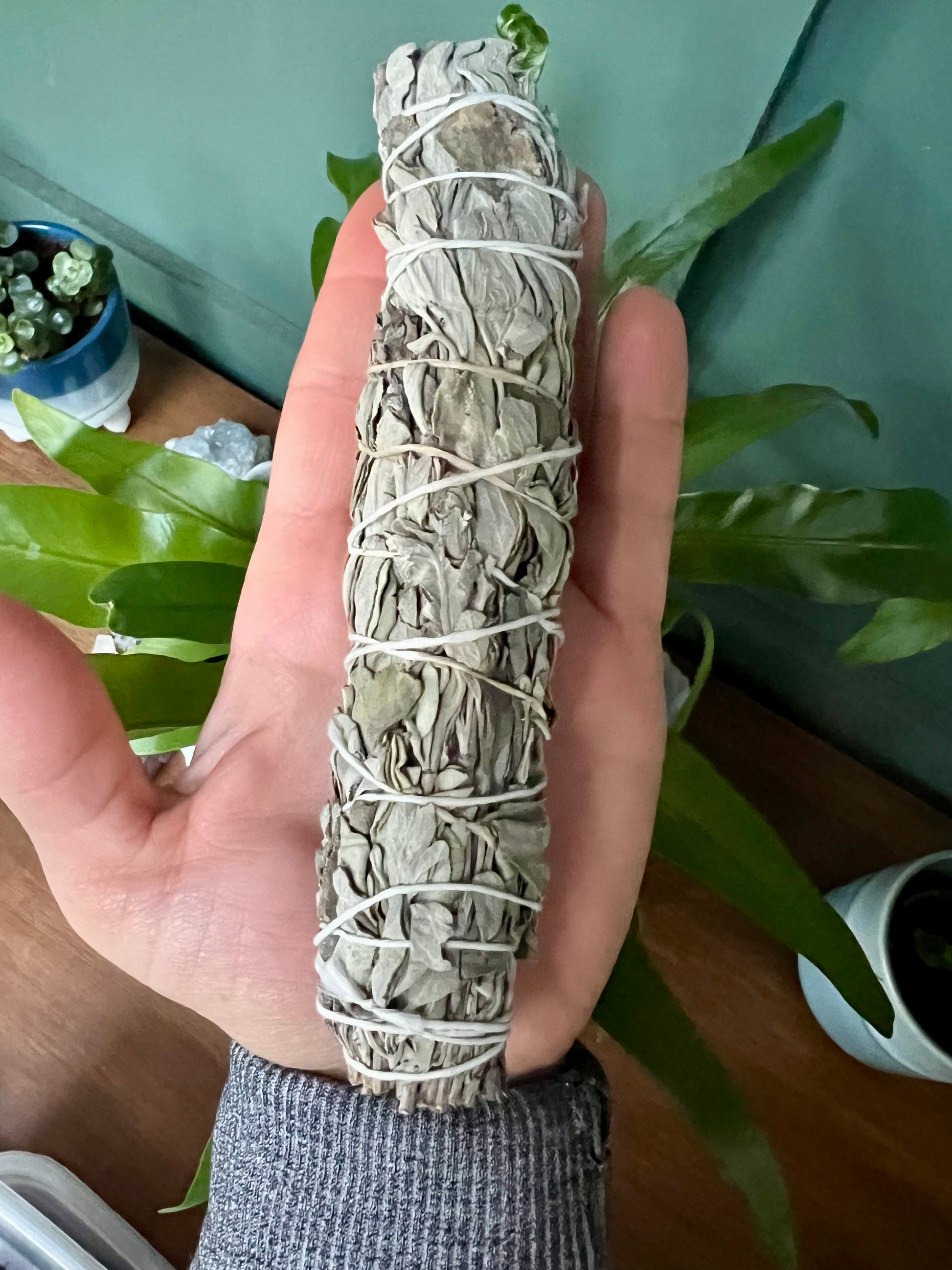 White Sage Smudge Stick 16cm