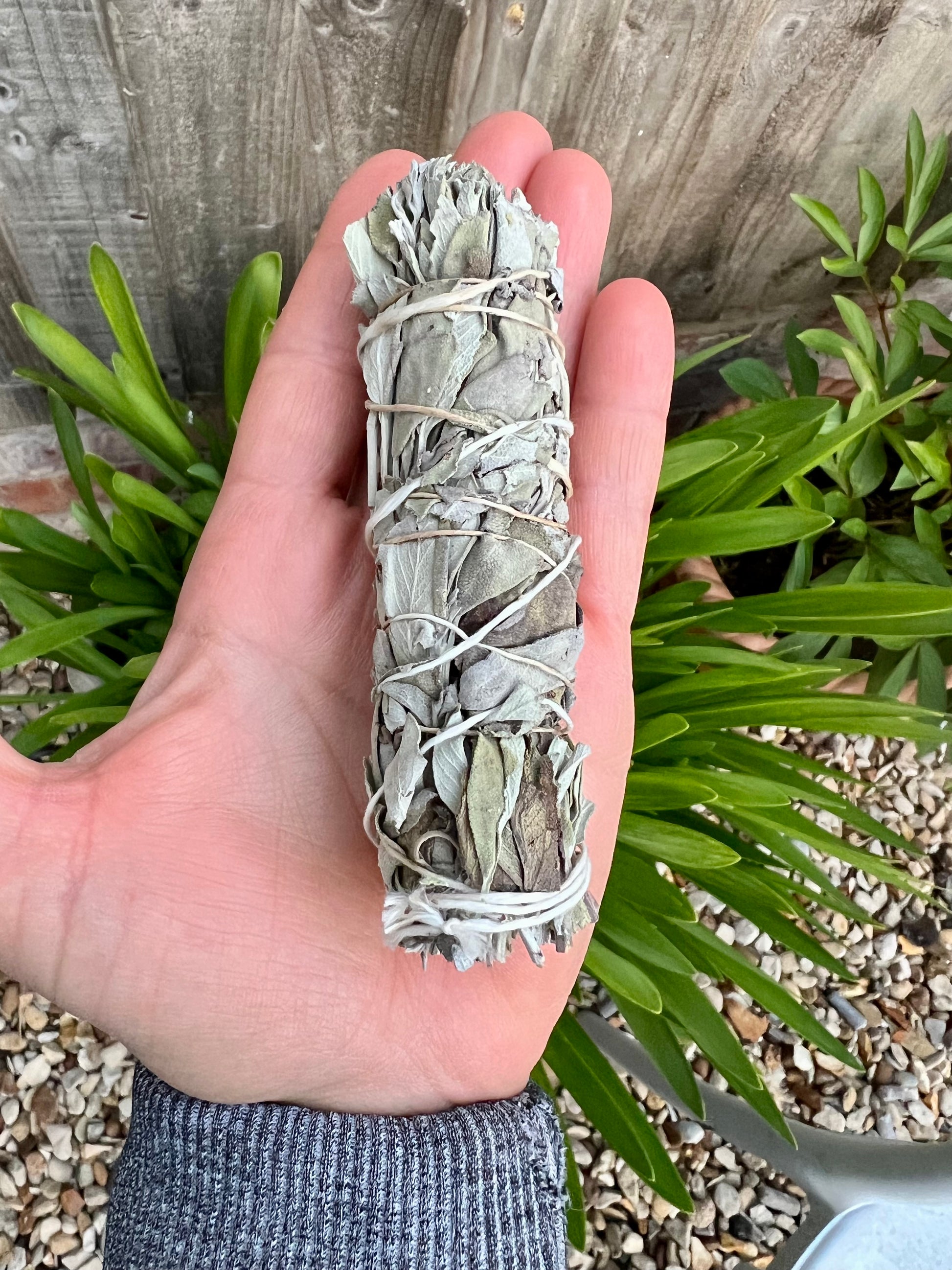 White Sage Smudge Stick 