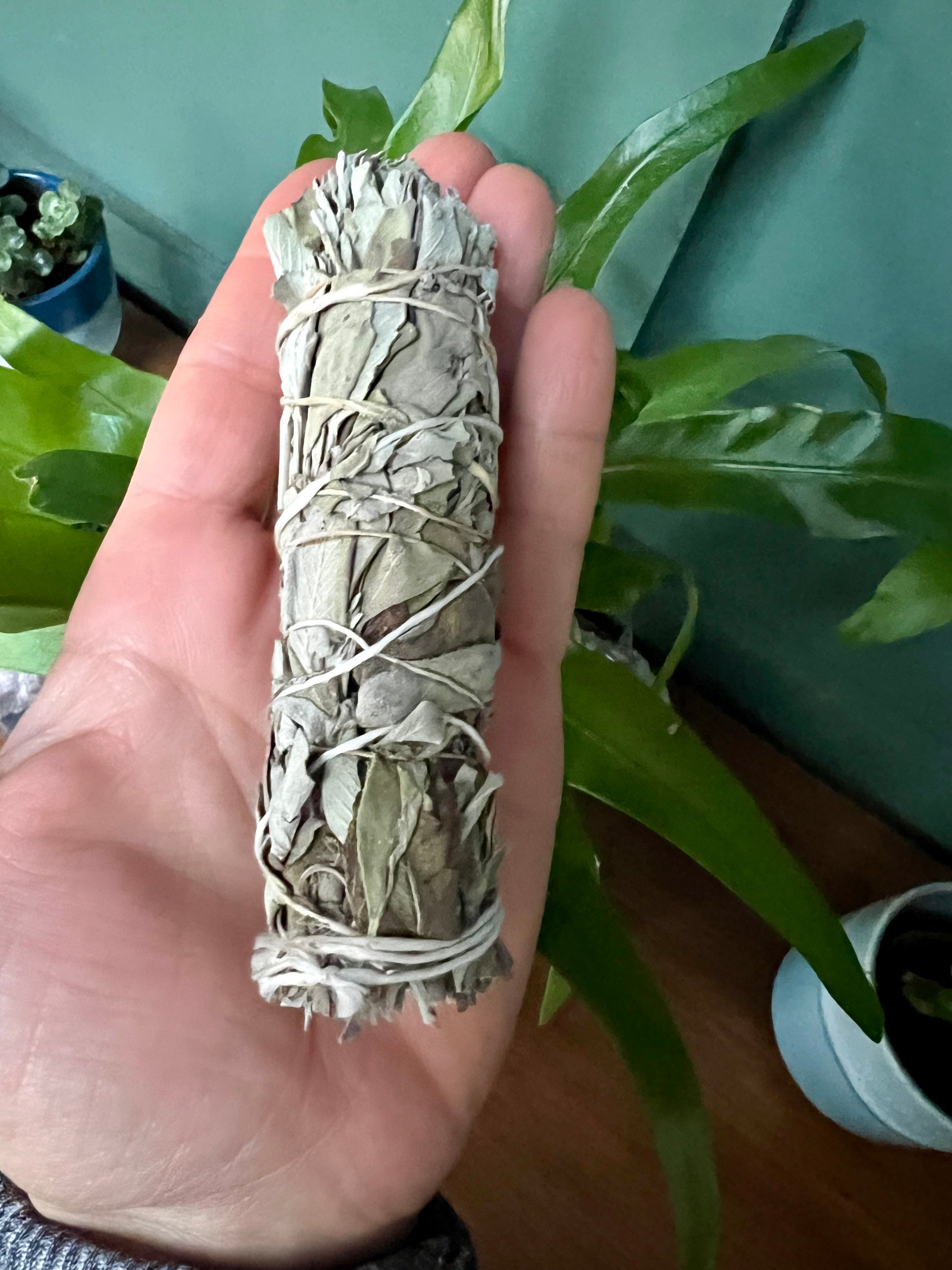White Sage Smudge Stick 10cm