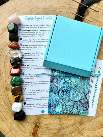 Crystals for Beginners 12 Piece Set NEW!!!