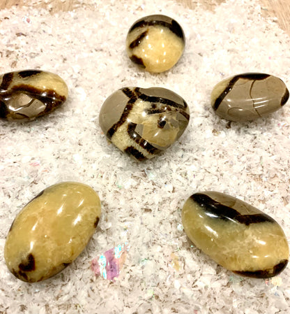 Septarian Dragon Polished Stone - Crystalboutique.co.uk 