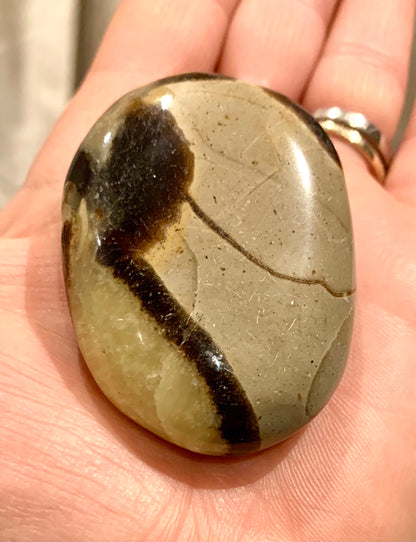 Septarian Dragon Polished Stone - Crystalboutique.co.uk 
