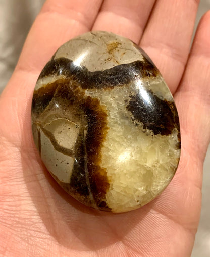 Septarian Dragon Polished Stone - Crystalboutique.co.uk 