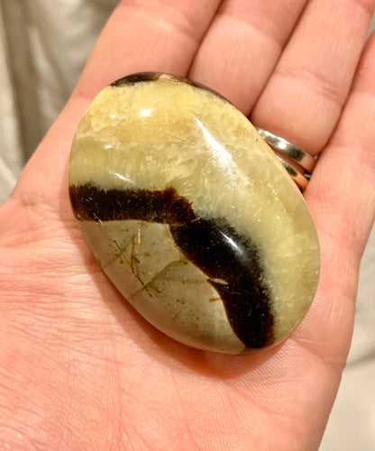 Septarian Dragon Polished Stone - Crystalboutique.co.uk 