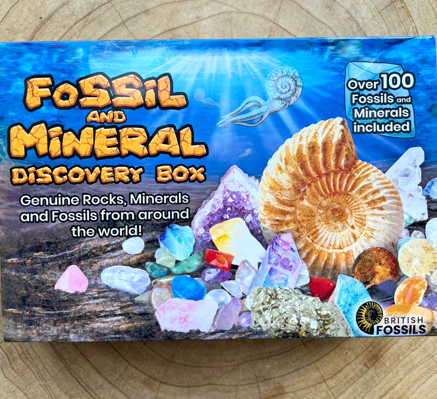 Fossil & Mineral Discovery Box