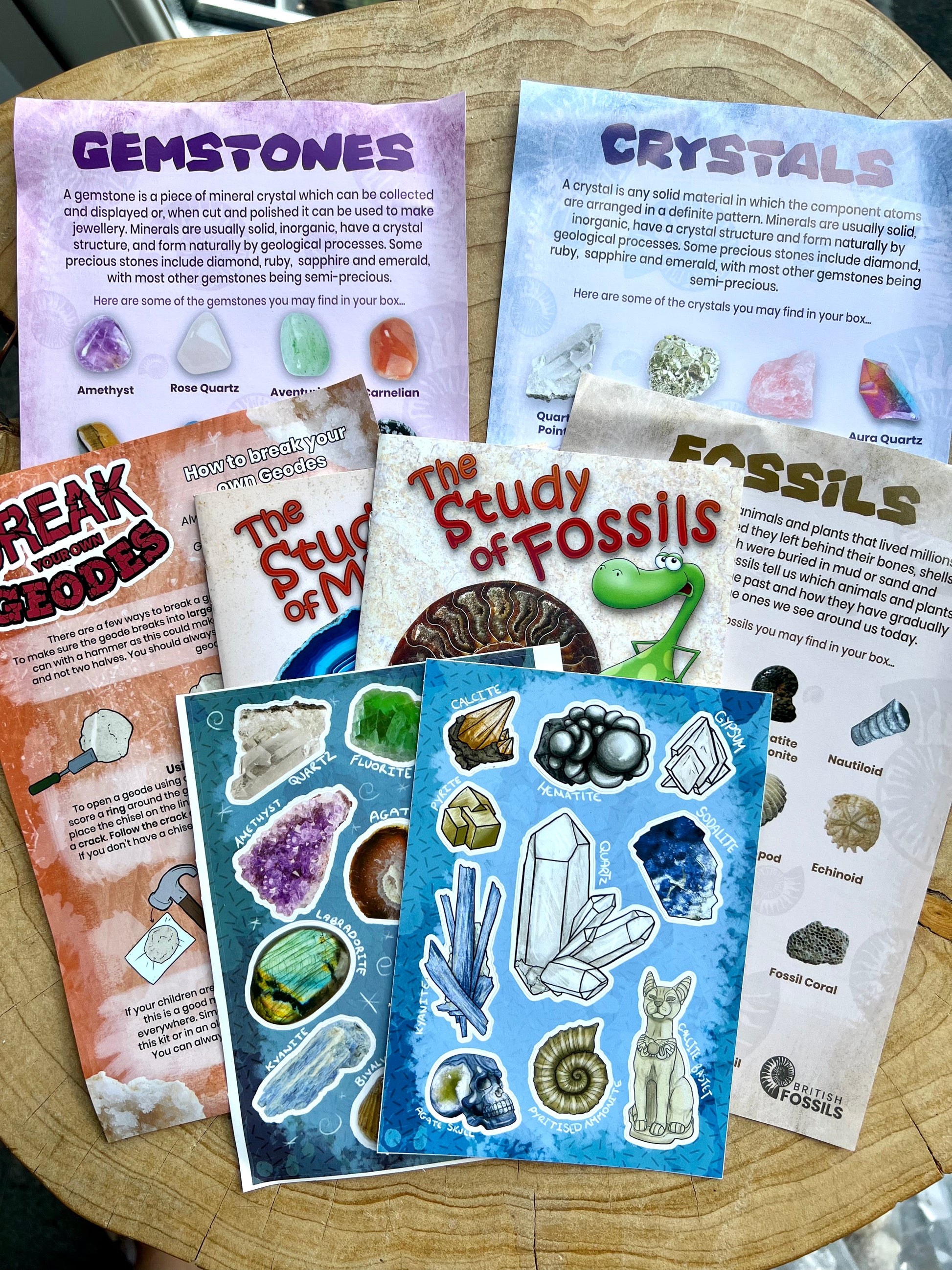 Fossil & Mineral Discovery Box