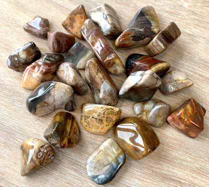 Petrified Wood Quartz Tumblestone - CrystalBoutique.co.uk 