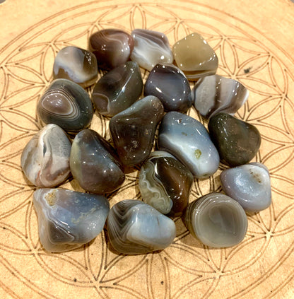 Botswana Agate Tumblestone - Crystalboutique.co.uk