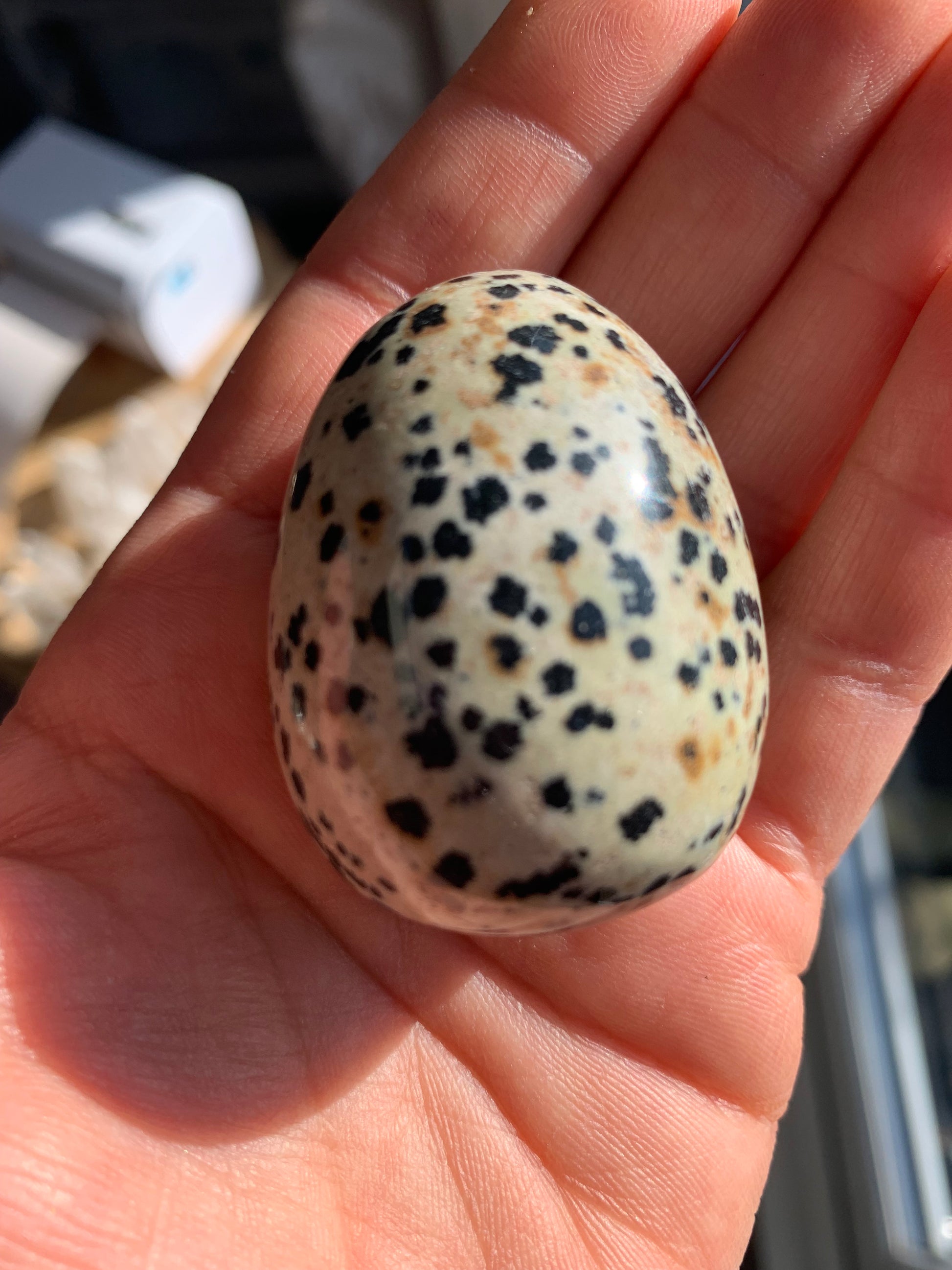 Dalmatian Jasper Polished Crystal Egg 