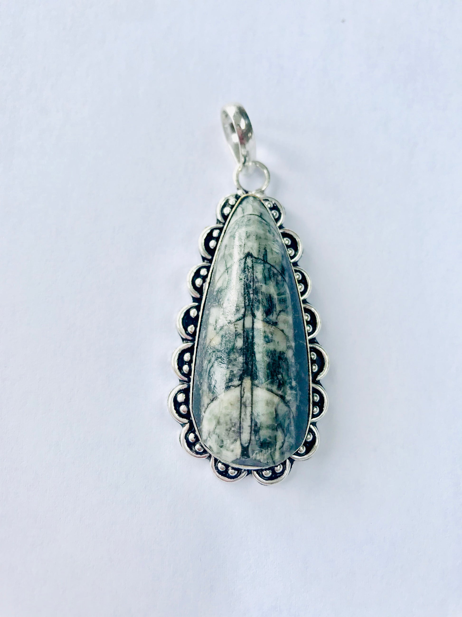 Orthoceras Fossil Pendant & 925 Silver Snake Chain - Reduces Toxins - Crystal Boutique.co.uk