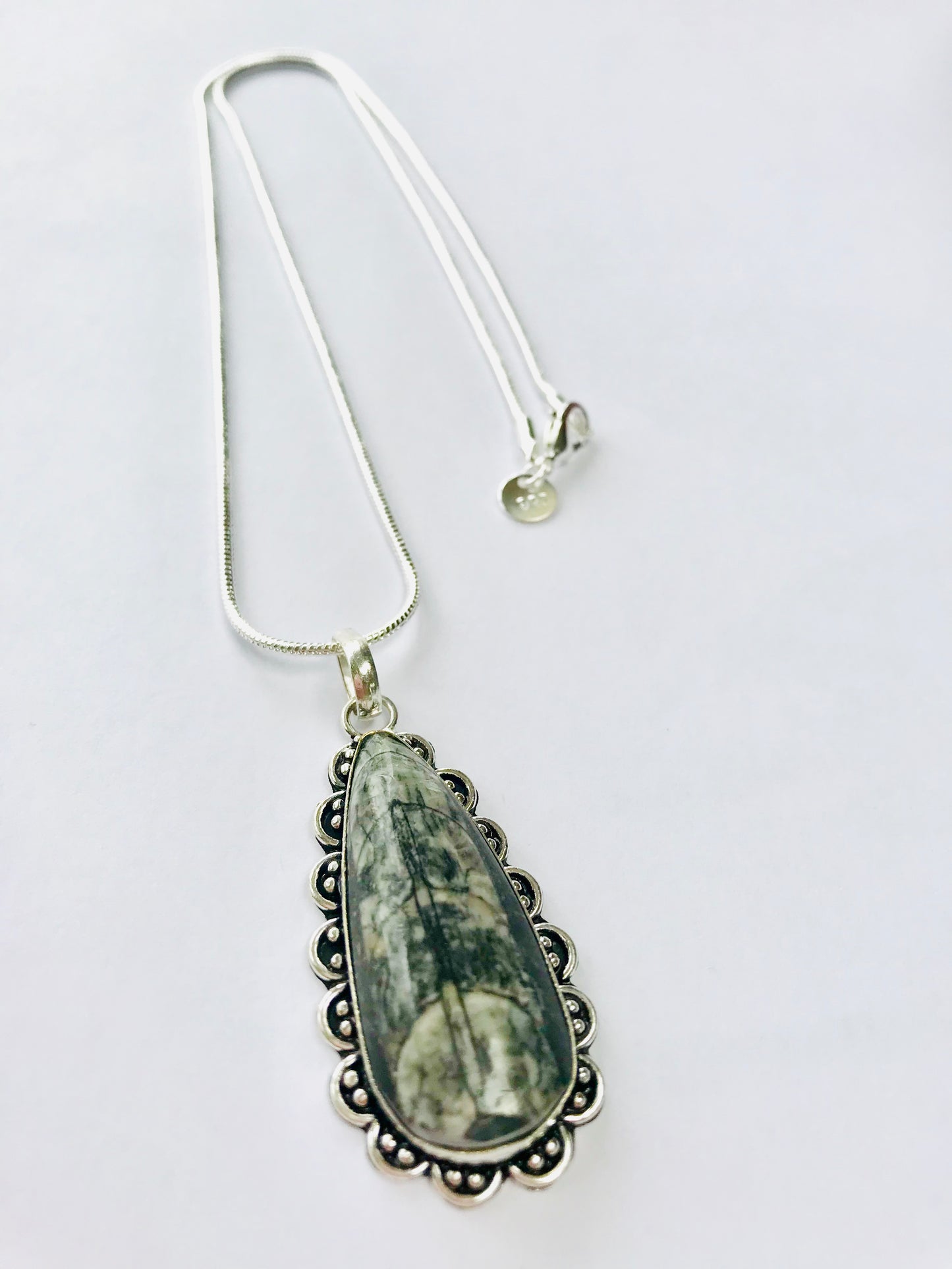 Orthoceras Fossil Pendant & 925 Silver Snake Chain - Reduces Toxins - Crystal Boutique.co.uk 