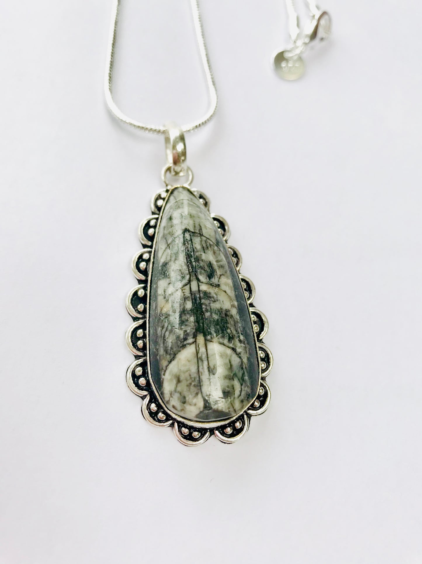 Orthoceras Fossil Pendant & 925 Silver Snake Chain - Reduces Toxins - Crystal Boutique.co.uk