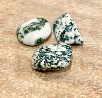 Tree Agate Tumblestone - Crystalboutique.co.uk