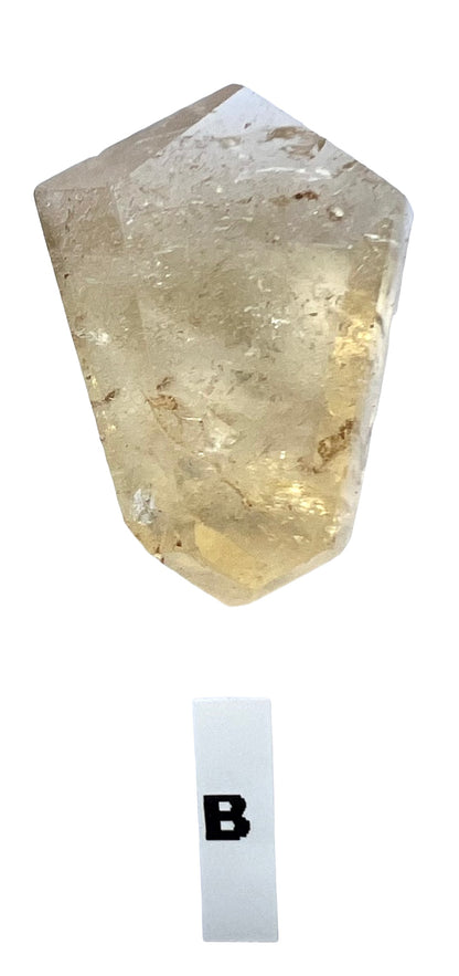 Citrine Natural Mini Points