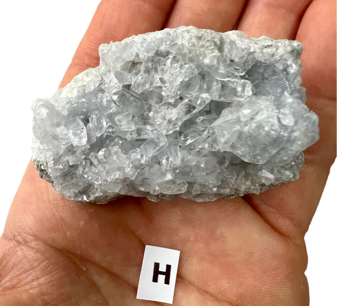 Celestite Natural Crystal Geode Clusters