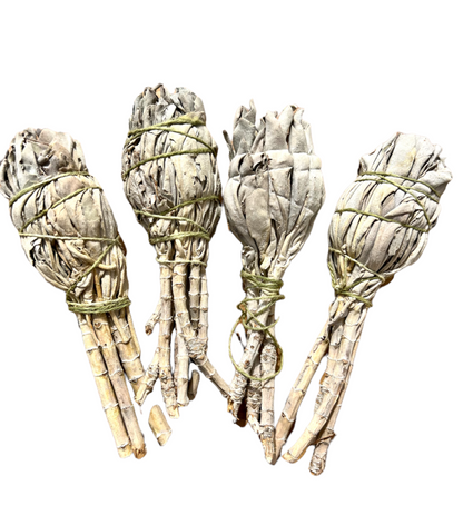 Small Californian Premium White Sage Smudge Bulb Stick