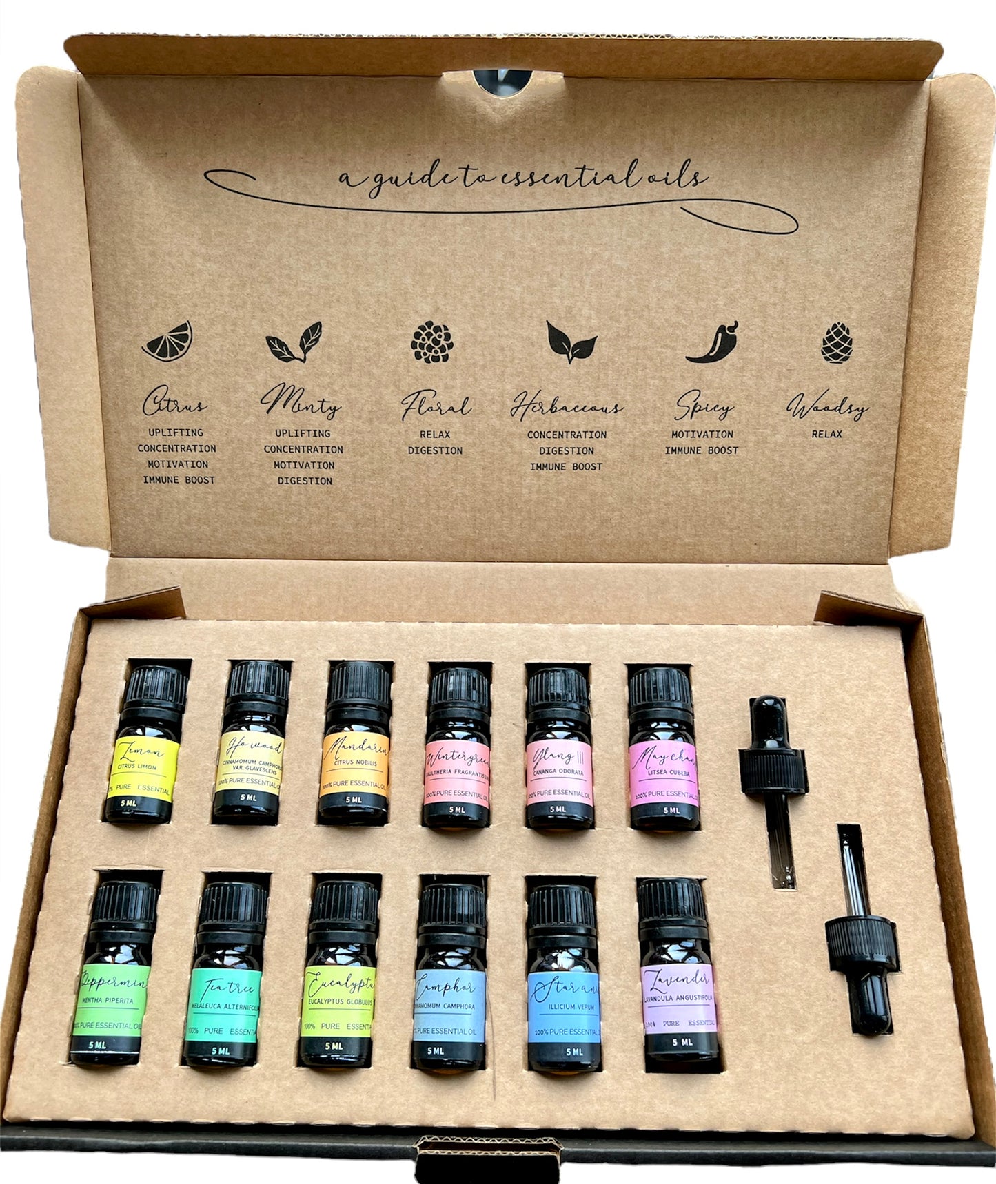 Aromatherapy Essential Oil Starter 12 Piece Set