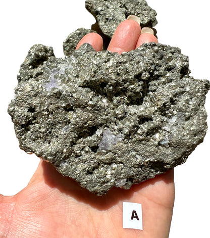 Pyrite ''Fools Gold'' Rough Large Cluster Specimen