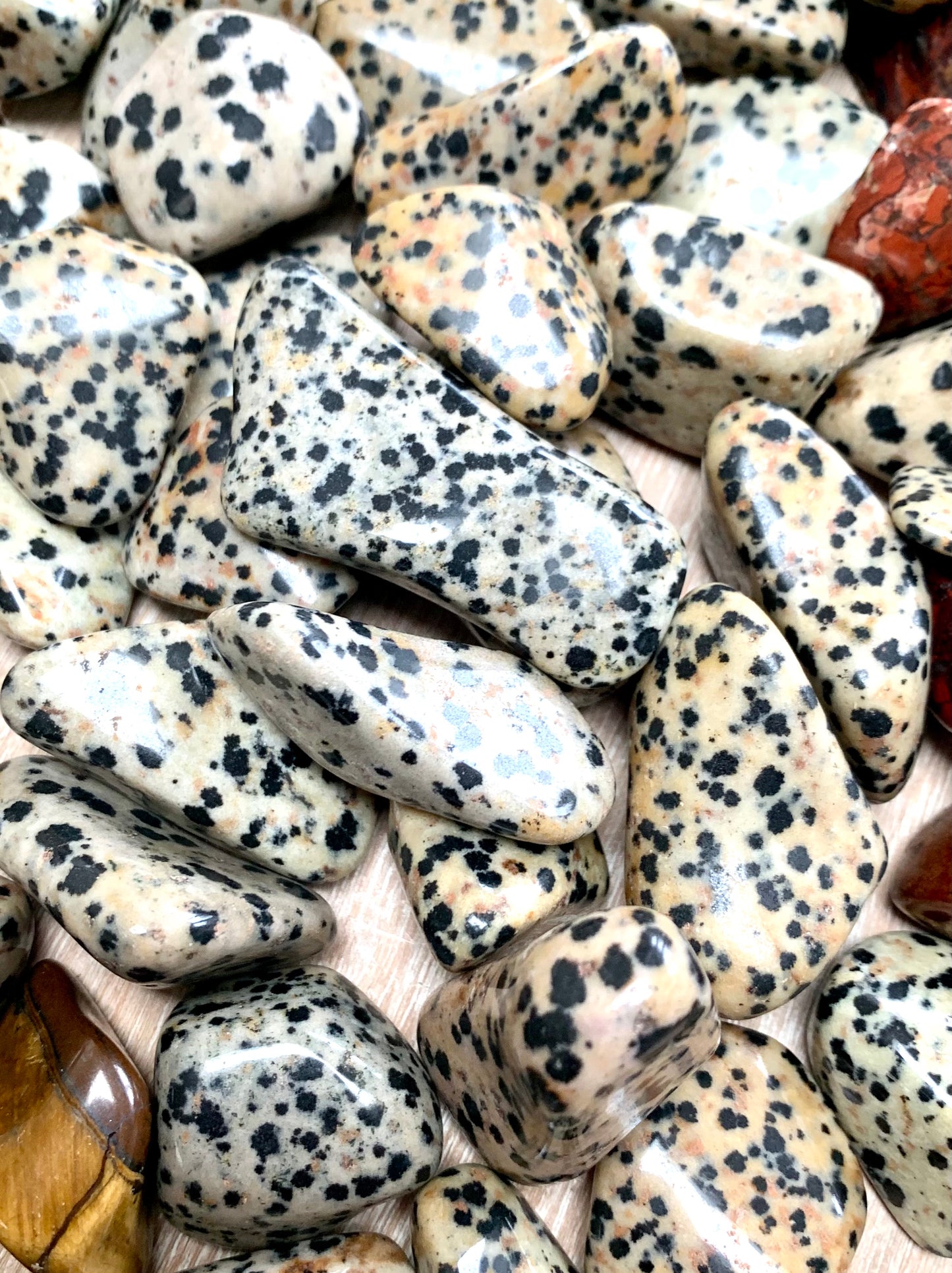 Dalmatian Jasper 2-3cm Tumblestone 