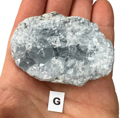 Celestite Natural Crystal Geode Clusters