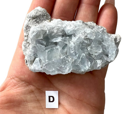 Celestite Natural Crystal Geode Clusters