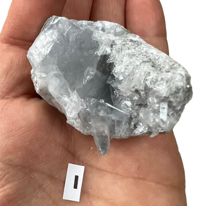 Celestite Natural Crystal Geode Clusters