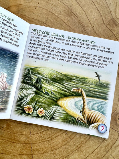 The Study Of Fossils Booklet