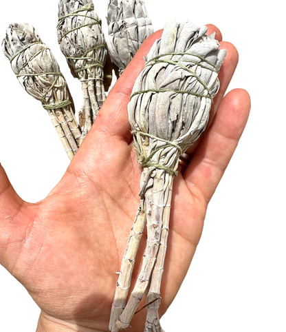 Small Californian Premium White Sage Smudge Bulb Stick
